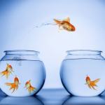 Latency and Performance