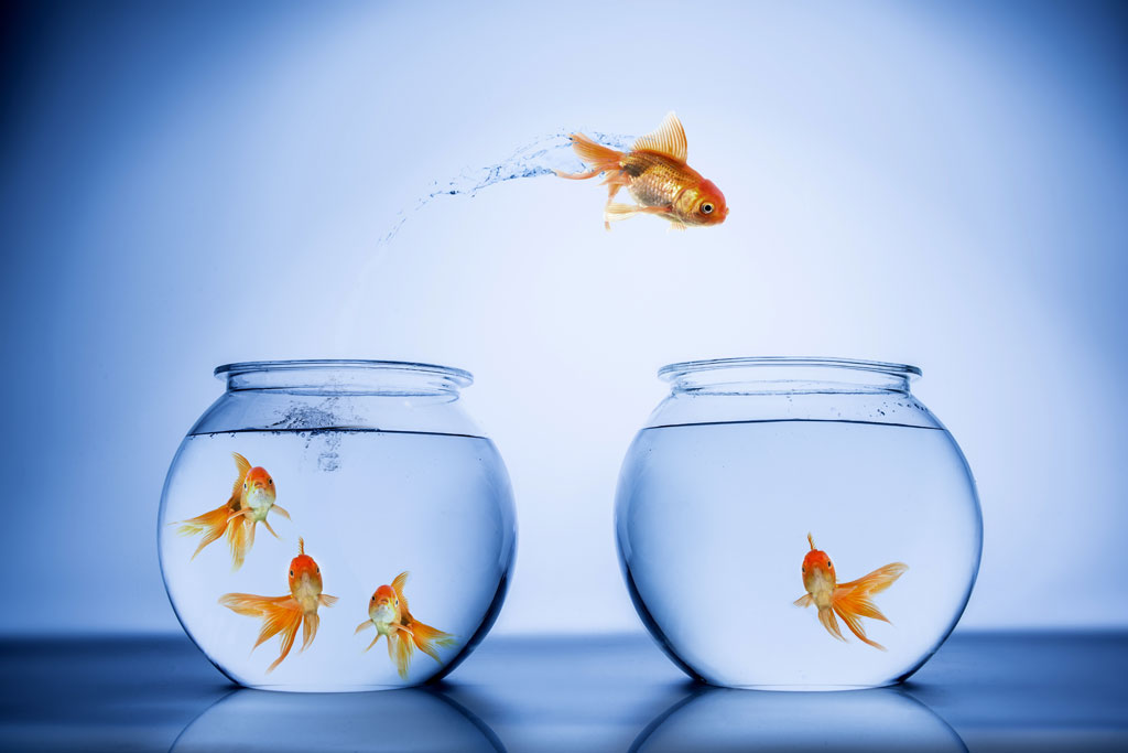 Latency and Performance